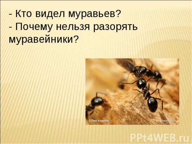 - Кто видел муравьев?- Почему нельзя разорять муравейники?