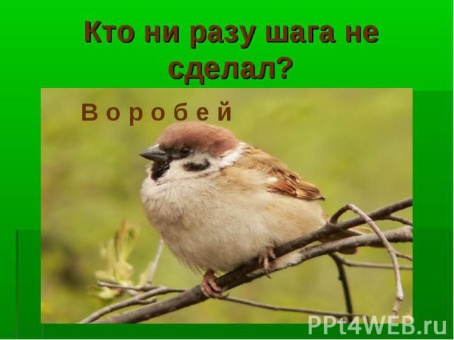 Кто ни разу шага не сделал?В о р о б е й