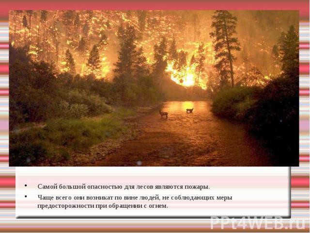 Самой большой опасностью для лесов являются пожары. Чаще всего они возникат по вине людей, не соблюдающих меры предосторожности при обращении с огнем.