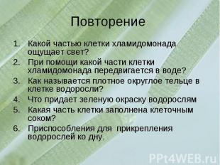 Повторение Какой частью клетки хламидомонада ощущает свет?При помощи какой части