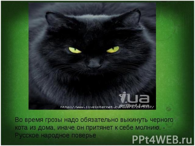 Во время грозы надо обязательно выкинуть черного кота из дома, иначе он притянет к себе молнию. - Русское народное поверье