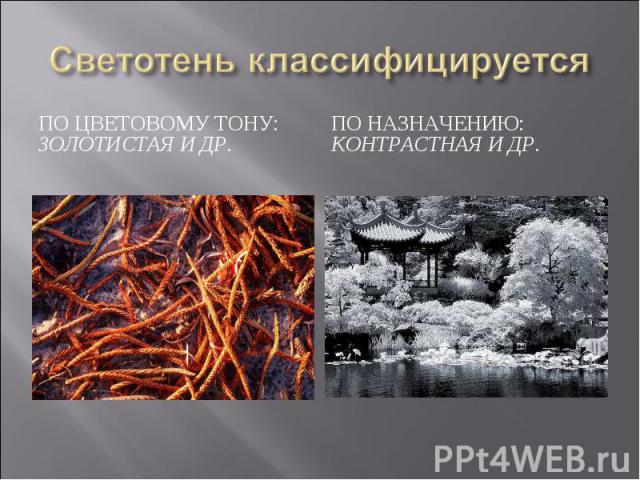 Светотень классифицируетсяПо цветовому тону: золотистая и др.По назначению: контрастная и др.