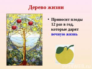 Дерево жизниПриносит плоды 12 раз в год, которые дарят вечную жизнь