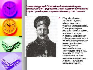 Главнокомандующий Объединённой партизанской армии Тамбовского края, председатель