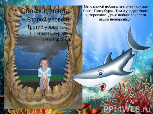 Мы с мамой побывали в океанариуме Санкт-Петербурга. Там я увидел много интересного. Даже побывал в пасти акулы (понарошку).
