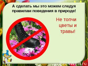 Не топчи цветы и травы!Не топчи цветы и травы!