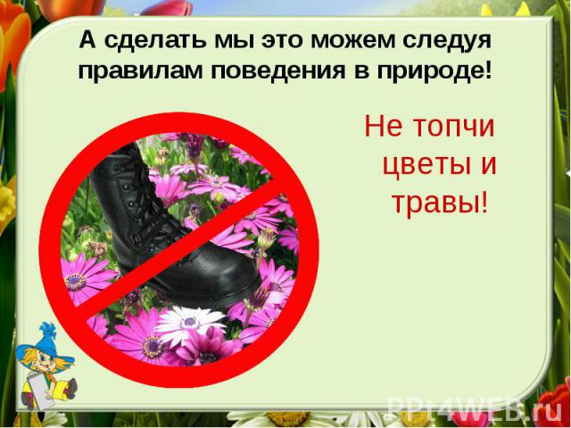 Не топчи цветы и травы!Не топчи цветы и травы!