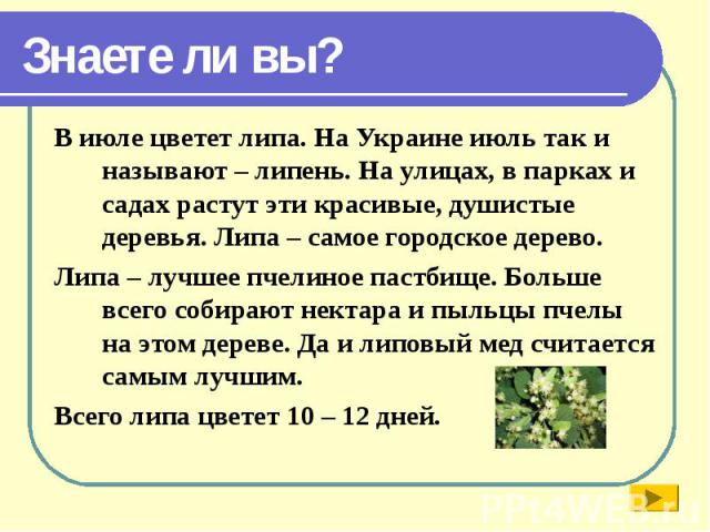 В июле цветет липа. На Украине июль так и называют – липень. На улицах, в парках и садах растут эти красивые, душистые деревья. Липа – самое городское дерево. В июле цветет липа. На Украине июль так и называют – липень. На улицах, в парках и садах р…