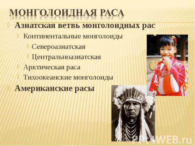 Азиатская ветвь монголоидных рас Азиатская ветвь монголоидных рас Континентальные монголоиды Североазиатская Центральноазиатская Арктическая раса Тихоокеанские монголоиды Американские расы