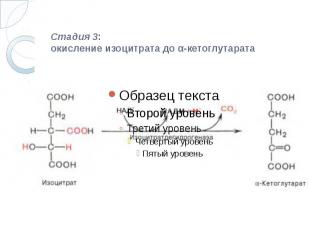 Стадия 3: окисление изоцитрата до α-кетоглутарата