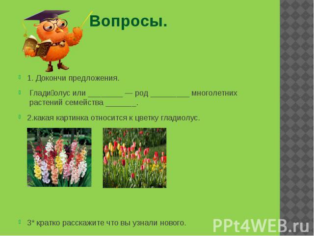 Вопросы. 1. Докончи предложения.  Глади олус или ________ — род _________ многолетних  растений семейства _______. 2.какая картинка относится к цветку гладиолус. 3* кратко расскажите что вы узнали нового.