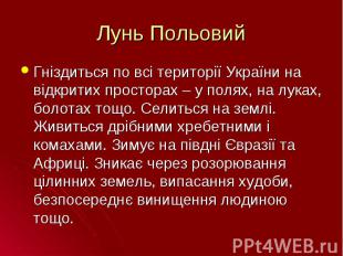 Гніздиться по всі території України на відкритих просторах – у полях, на луках,