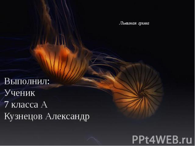Выполнил: Ученик 7 класса АКузнецов Александр