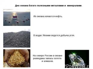 Дно океана богато полезными металлами и минералами.