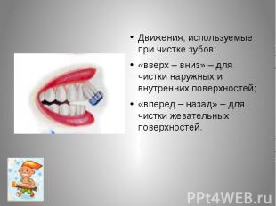 Движения, используемые при чистке зубов:«вверх – вниз» – для чистки наружных и в