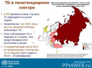 ТБ в пенитенциарном секторе