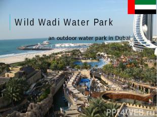 Wild Wadi Water Park