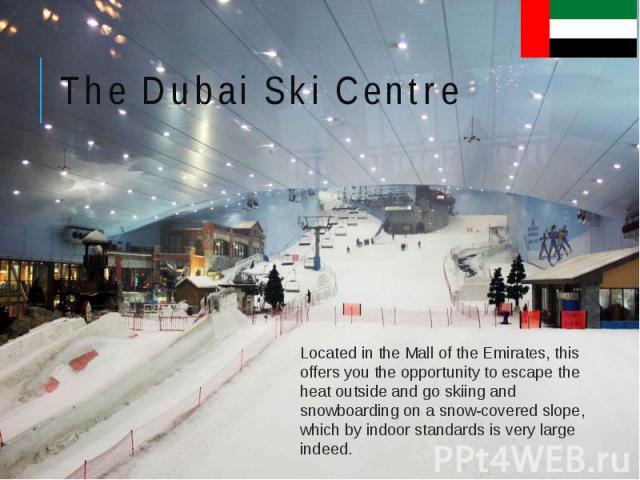 The Dubai Ski Centre