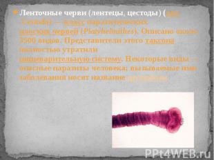 Ленточные черви (лентецы, цестоды) (лат. Cestoda) — класс паразитических плоских