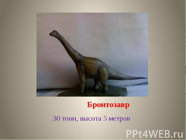 Бронтозавр 30 тонн, высота 5 метров