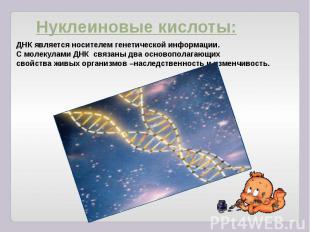Нуклеиновые кислоты: ДНК является носителем генетической информации. С молекулам