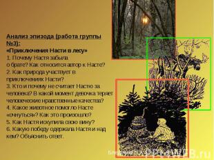 Анализ эпизода (работа группы №3):«Приключения Насти в лесу»1. Почему Настя забы