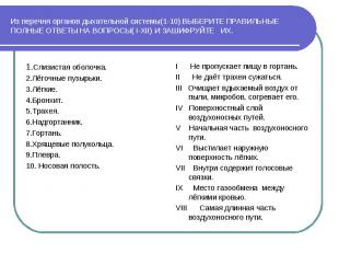 Из перечня органов дыхательной системы(1-10) ВЫБЕРИТЕ ПРАВИЛЬНЫЕ ПОЛНЫЕ ОТВЕТЫ Н