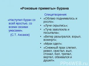 «Роковые приметы» бурана «Наступил буран со всей яростью, со всеми своими ужасам