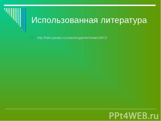Использованная литература http://fotki.yandex.ru/users/torgachkin/view/19072/