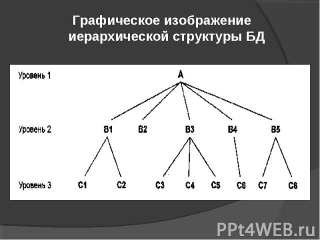 Графическое изображение иерархической структуры БД