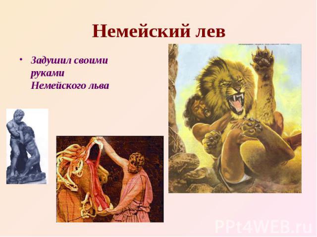 Немейский лев Задушил своими руками Немейского льва