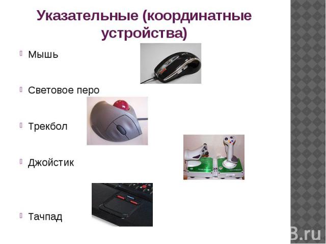 Указательные (координатные устройства) МышьСветовое пероТрекболДжойстикТачпад
