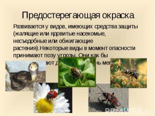 Развивается у видов, имеющих средства защиты (жалящие или ядовитые насекомые, не