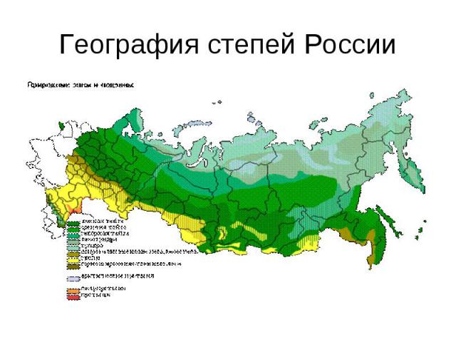 География степей России