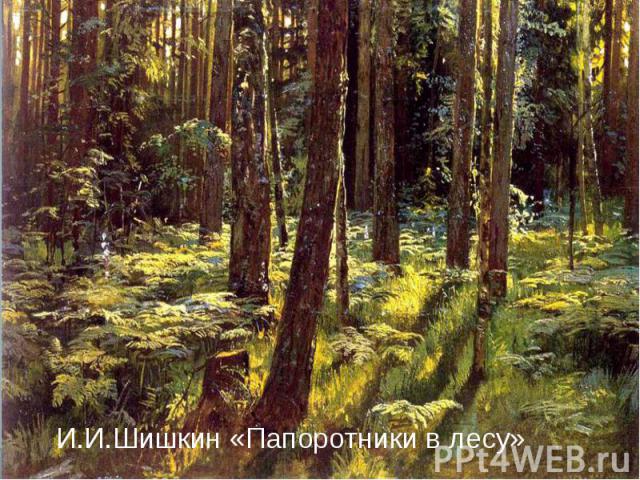 И.И.Шишкин «Папоротники в лесу»