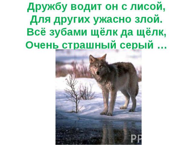 Дружбу водит он с лисой,Для других ужасно злой.Всё зубами щёлк да щёлк,Очень страшный серый …