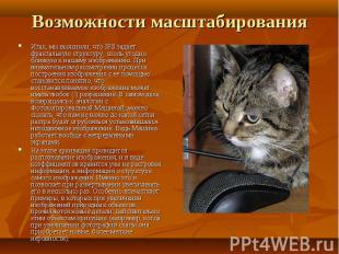 Итак, мы выяснили, что IFS задает фрактальную структуру, сколь угодно близкую к