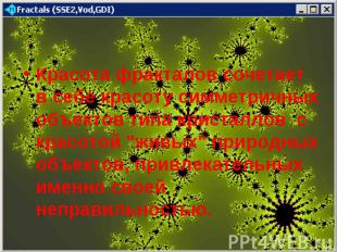 Красота фракталов сочетает в себе красоту симметричных объектов типа кристаллов