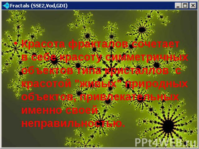 Красота фракталов сочетает в себе красоту симметричных объектов типа кристаллов с красотой 