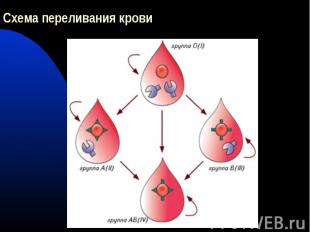 Схема переливания крови