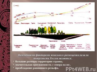 Важнейшими факторами зонального размещения почв по поверхности России являются: