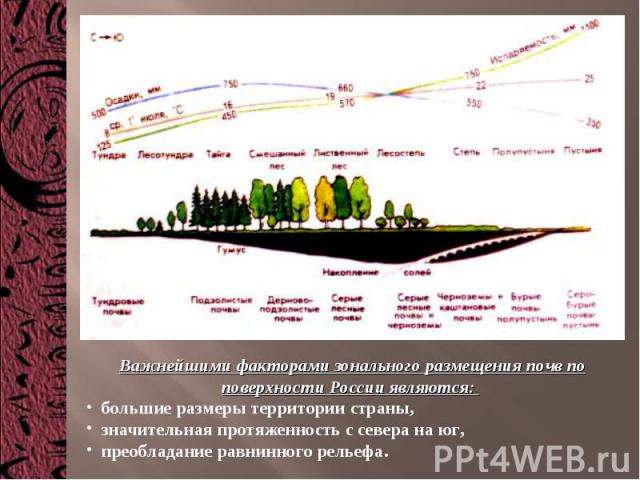 Важнейшими факторами зонального размещения почв по поверхности России являются: большие размеры территории страны, значительная протяженность с севера на юг, преобладание равнинного рельефа.