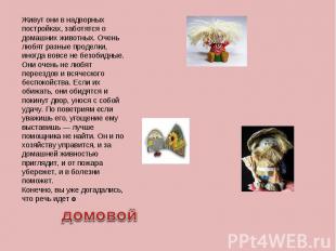 Живут они в надворных постройках, заботятся о домашних животных. Очень любят раз