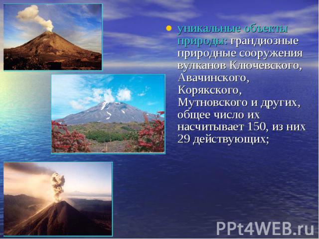 уникальные объекты природы: грандиозные природные сооружения вулканов Ключевского, Авачинского, Корякского, Мутновского и других, общее число их насчитывает 150, из них 29 действующих;