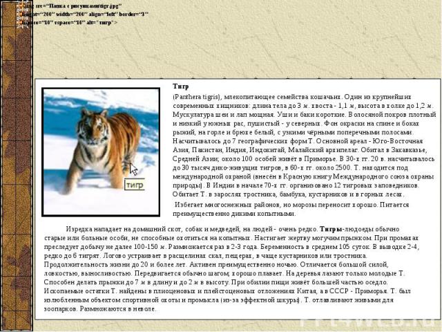 Тигр(Panthera tigris), млекопитающее семейства кошачьих. Один из крупнейших современных хищников: длина тела до 3 м. хвоста - 1,1 м, высота в холке до 1,2 м. Мускулатура шеи и лап мощная. Уши и баки короткие. Волосяной покров плотный и низкий у южны…