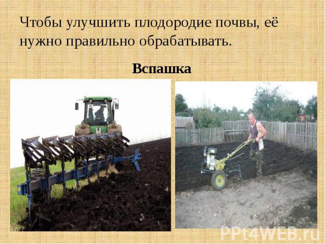 Чтобы улучшить плодородие почвы, её нужно правильно обрабатывать. Вспашка