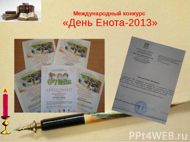 Международный конкурс «День Енота-2013»