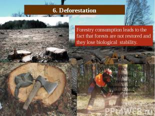 6. Deforestation