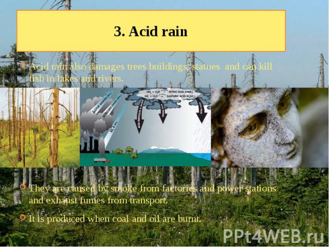 3. Acid rain Acid rain also damages trees buildings, statues and can kill fish in lakes and rivers. They are caused by smoke from factories and power stations and exhaust fumes from transport. It is produced when coal and oil are burnt.