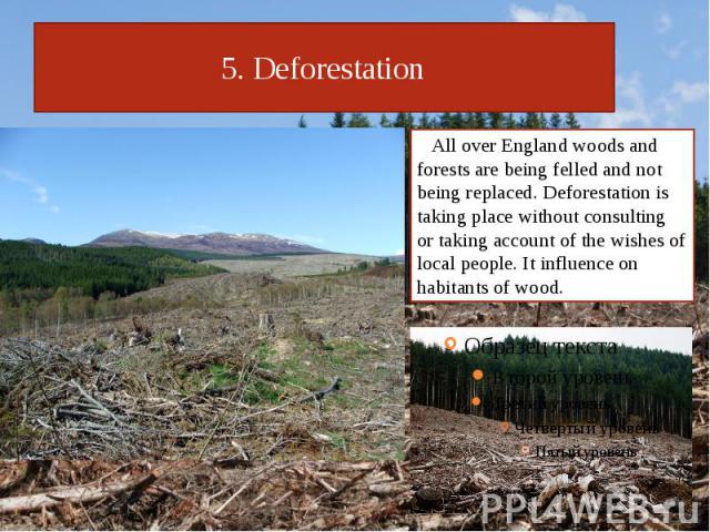 5. Deforestation